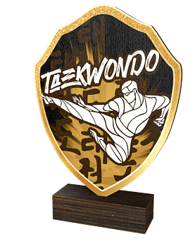 Taekwandostatyett