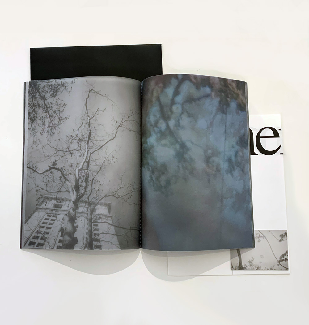  Annika Thörn Legzdins: Ephemera [signed] - 6