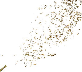 Konfetti kanon 60cm guld