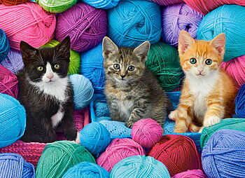 Kittens in Yarn Store, puslespil med 300 brikker (B-030477)