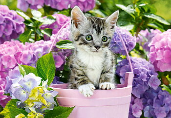 Kitten in Basket, 1500-bitarspussel (C-152001)