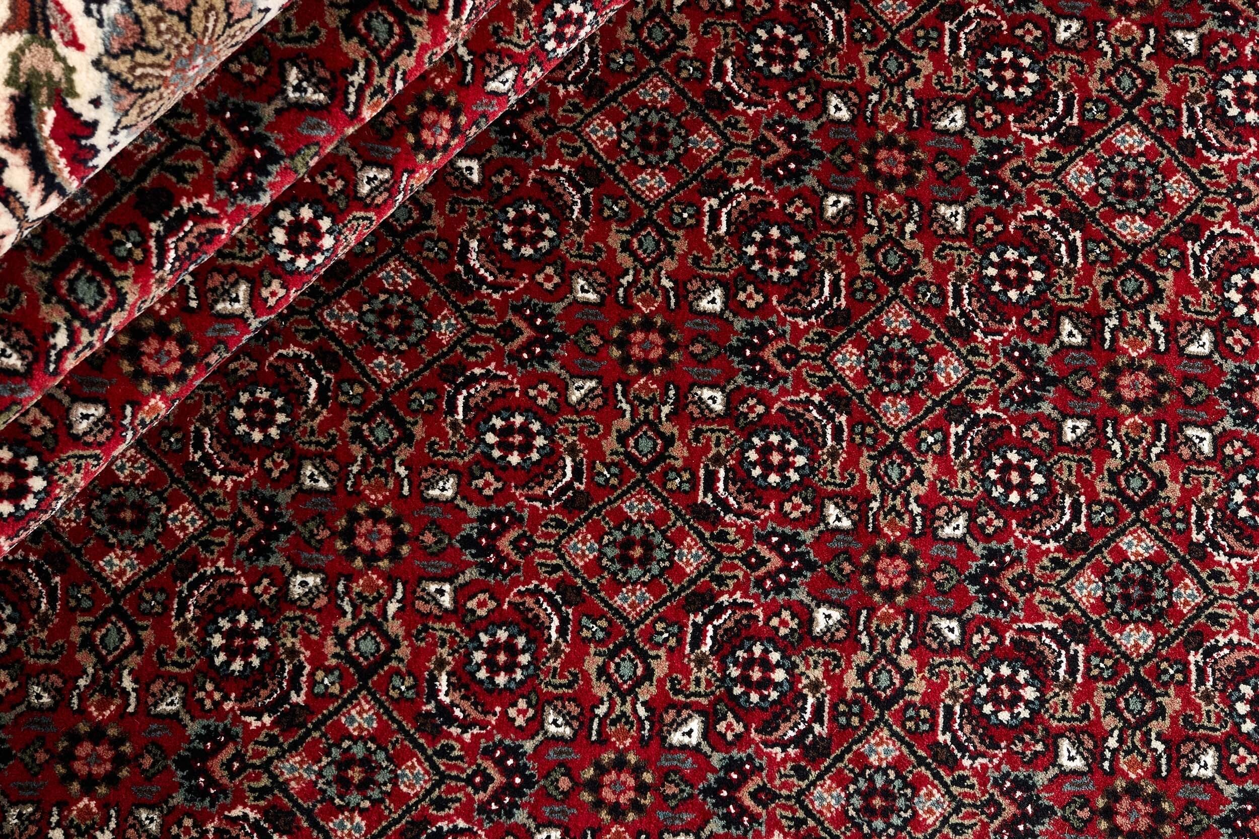 Bidjar Indo Royal 306x391cm - 2