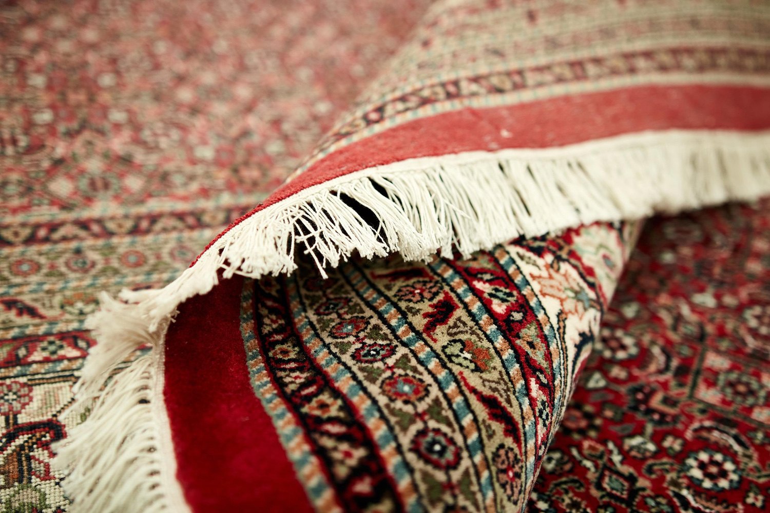 Bidjar Indo Royal 306x391cm - 8