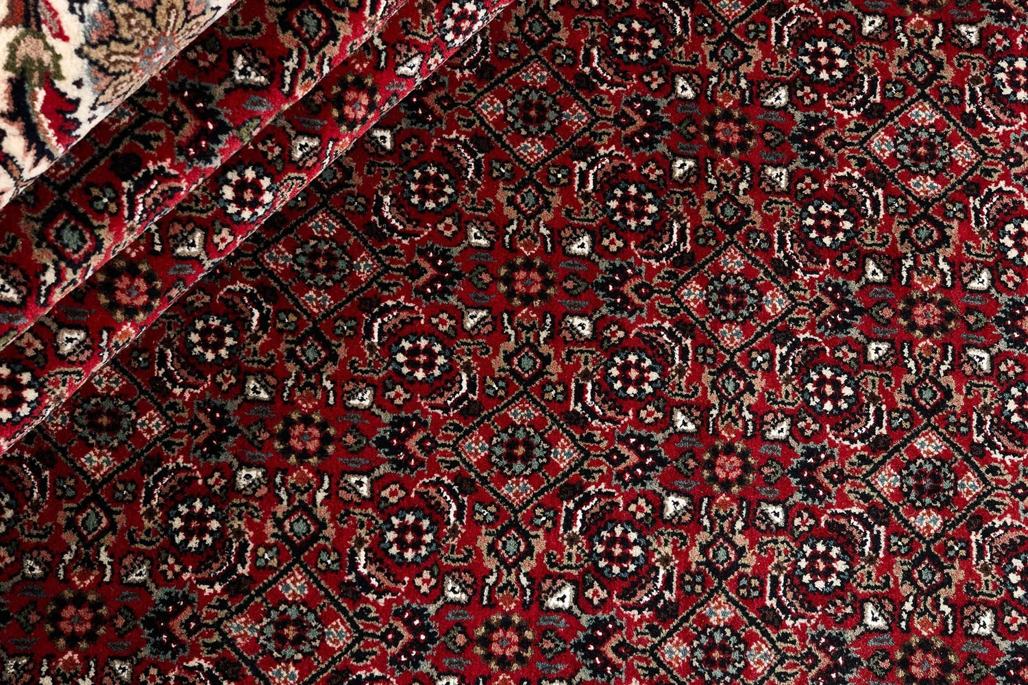Bidjar Indo Royal 306x391cm - 5