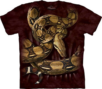 Boa Constrictor by The Mountain 