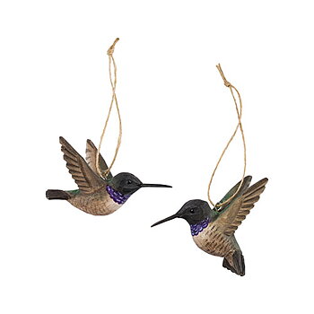 DecoBird Schwarzkinnkolibri