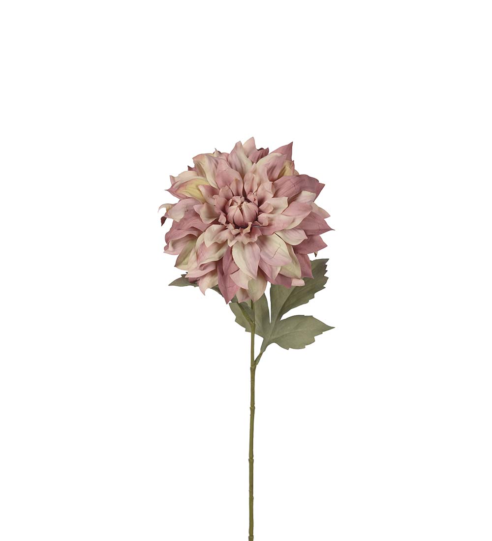 Dahlia / Ljuslila / H:60cm