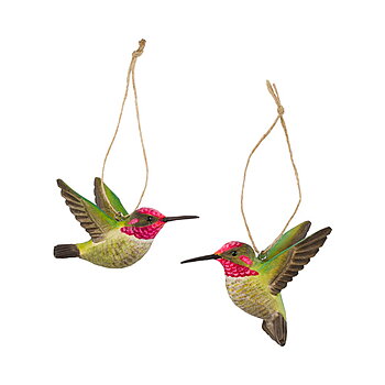 DecoBird Annakolibri