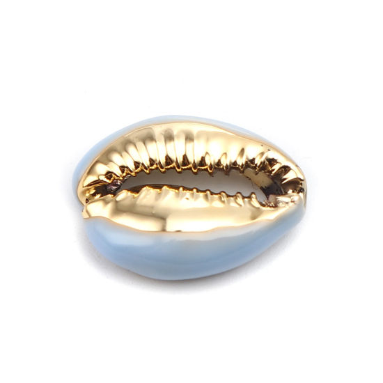Charm  bead , snail conch BlueGold - 2
