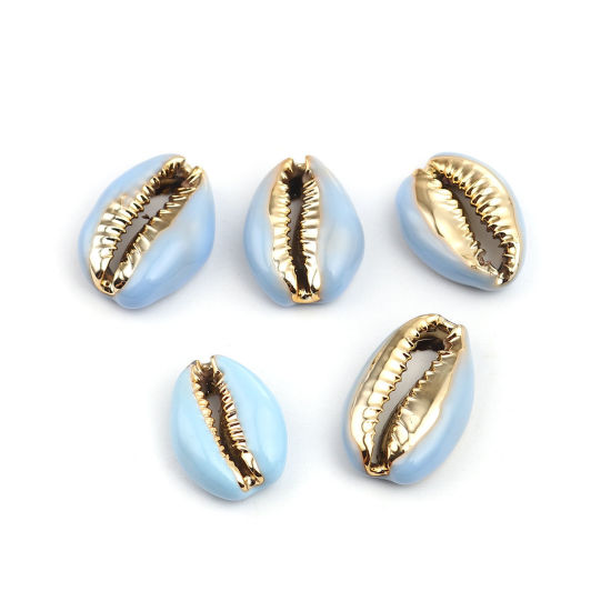 Charm  bead , snail conch BlueGold