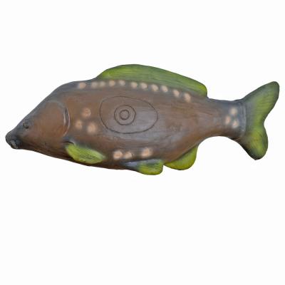 Karp  (Cyprinus carpio)