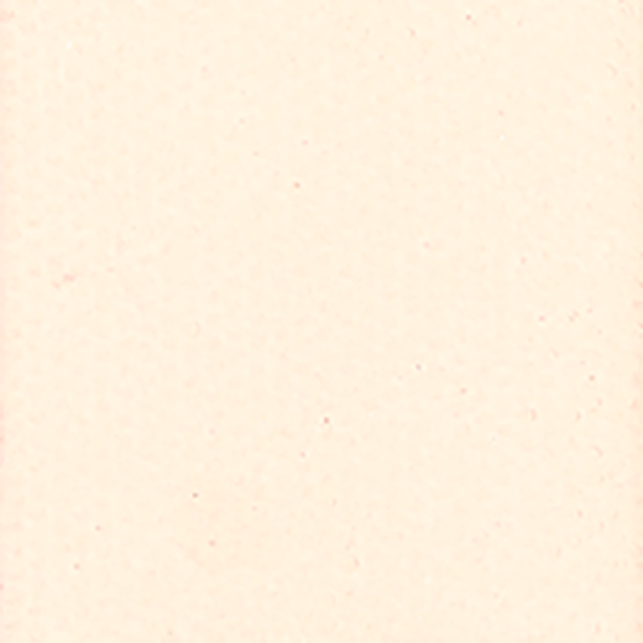 ZAO Refill Rectangle Eye Shadow 201 Ivory - 2
