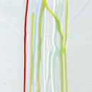Bertil Vallien (Rainbow 1982) Stylistic Vase 20 cm