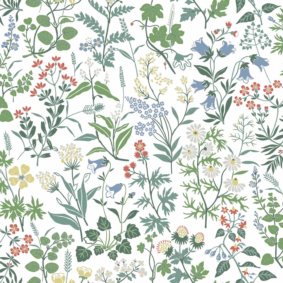 Flora - 4180