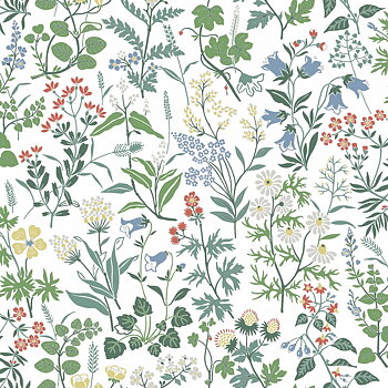 Flora - 4180