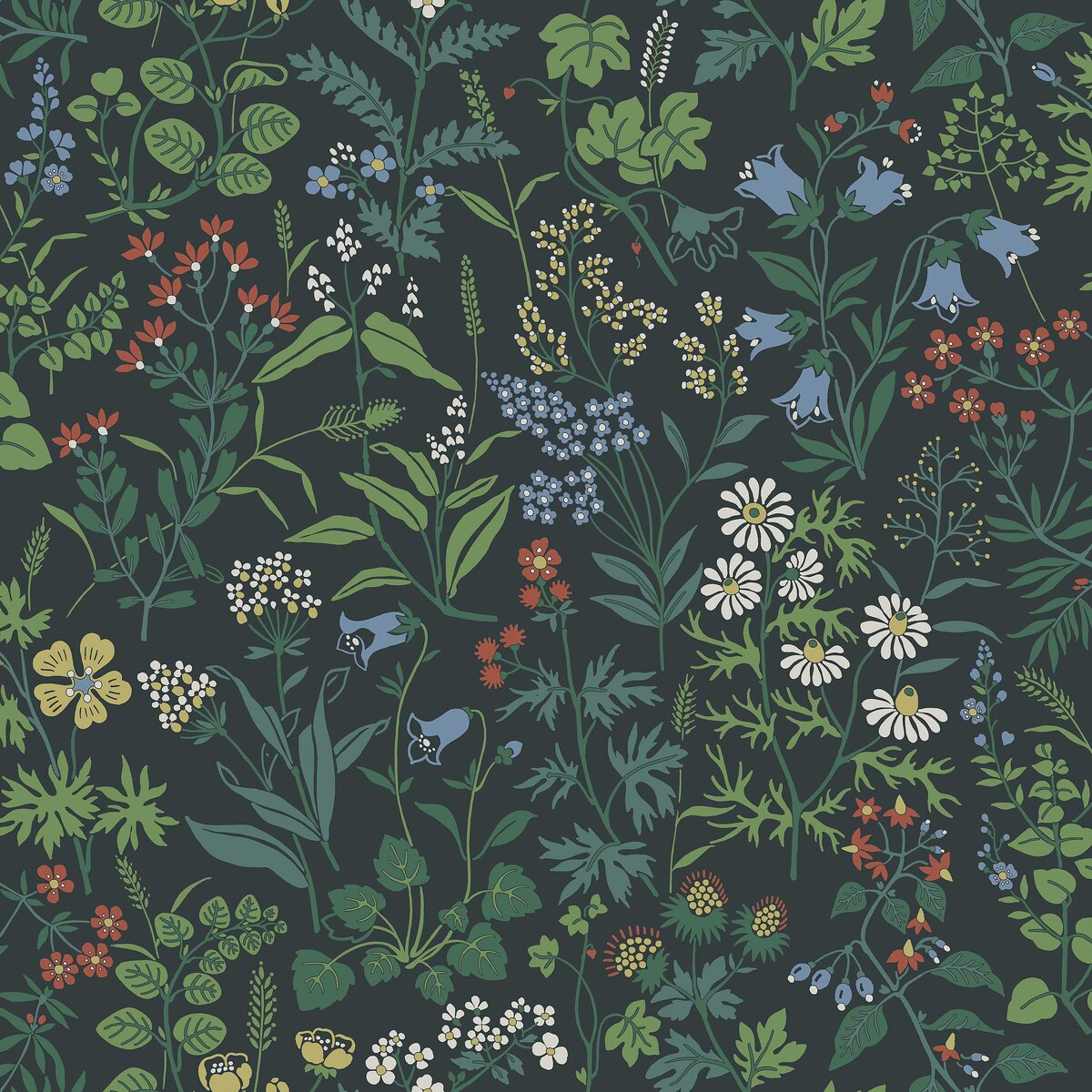Flora - 4181