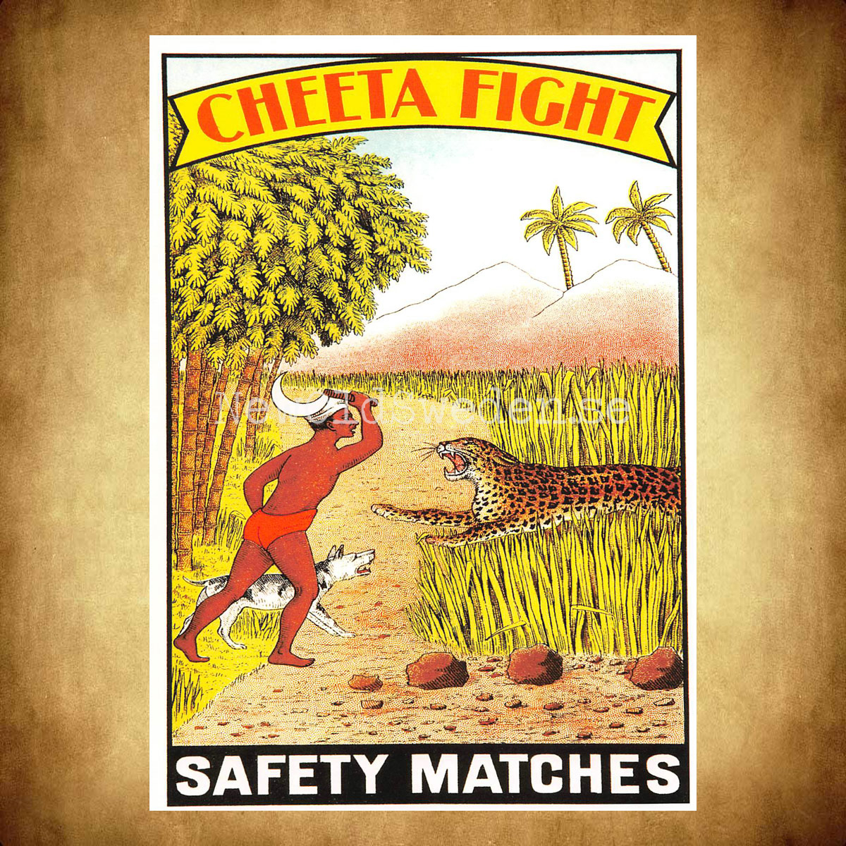 SAFETY MATCHES SWEDEN - CHEETA FIGHT - Vykort A5 - 2
