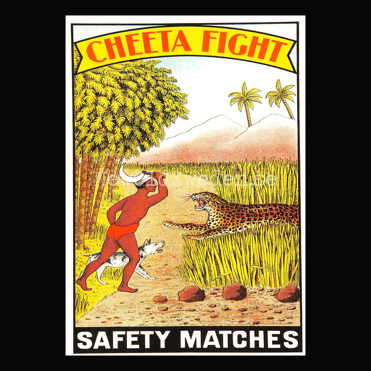 SAFETY MATCHES SWEDEN - CHEETA FIGHT - Vykort A5