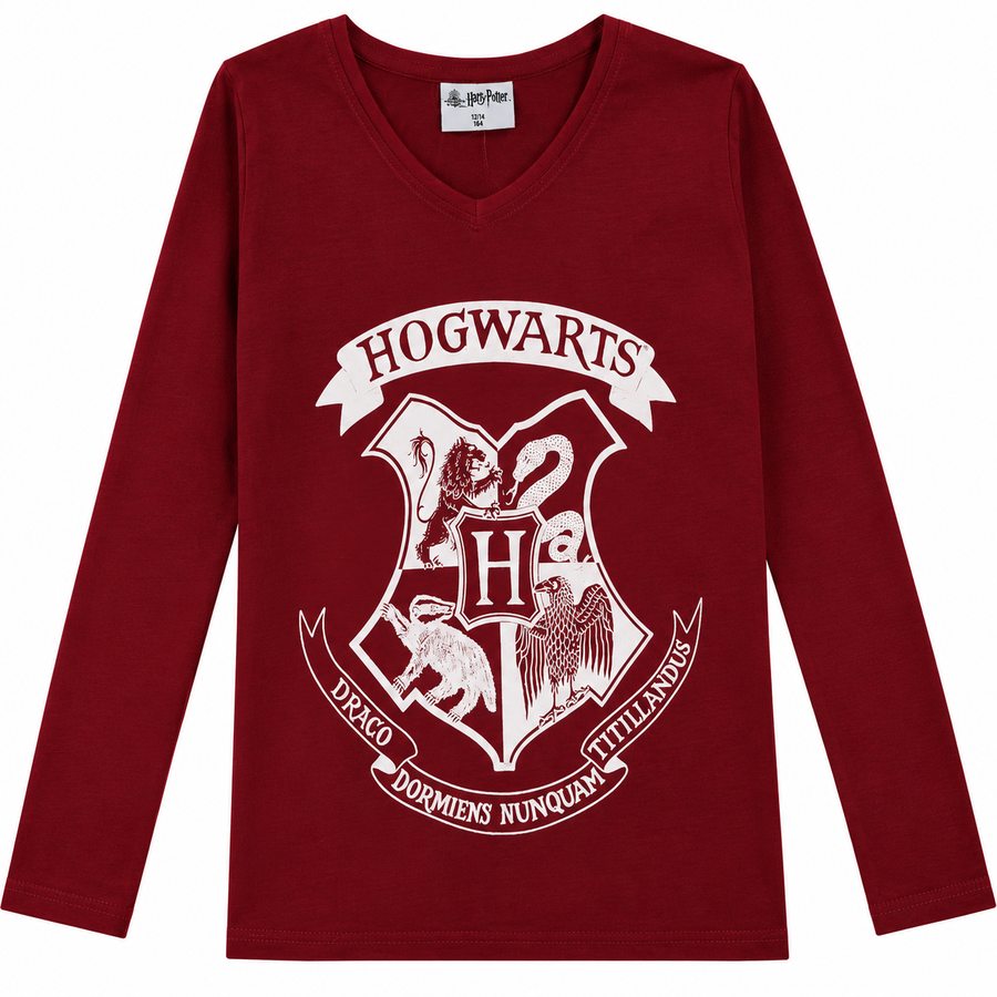 Harry Potter T-shirt Långärmad DM - 2