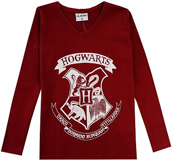Harry Potter T-shirt Långärmad DM