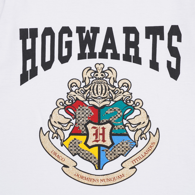 Harry Potter T-shirt Hogwarts VT  - 2