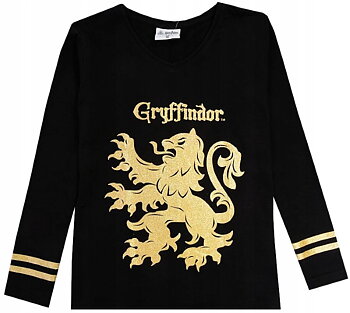Harry Potter T-shirt Långärmad Gryffindor Svart