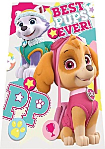 Paw Patrol Filt Flecce Skye Everast - 2