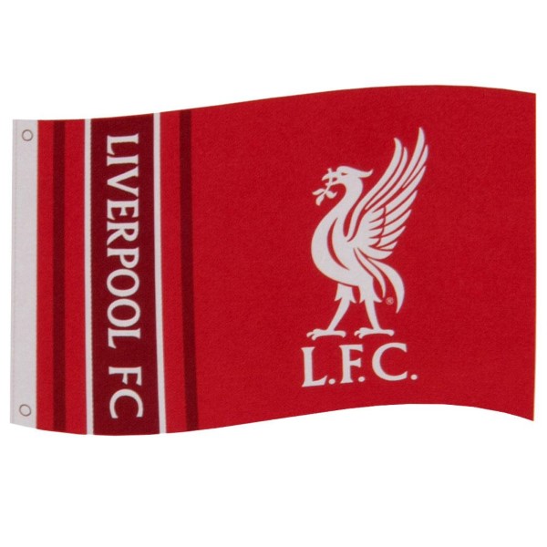 Liverpool Flagga WM - 4