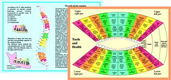 Teeth and Health - Tändernas påverkan på kroppen, A4-plansch