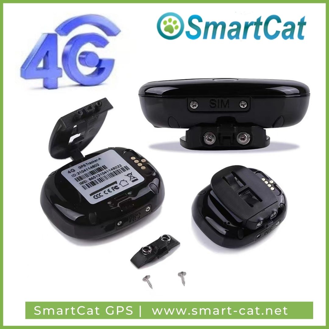 GPS 4G till katt och hund utan dyra abonnemang - 3