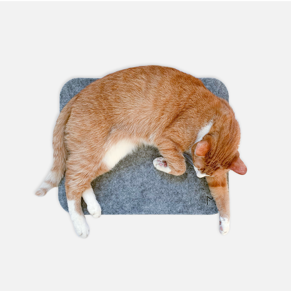 MIKASTE MIKS Kattdyna