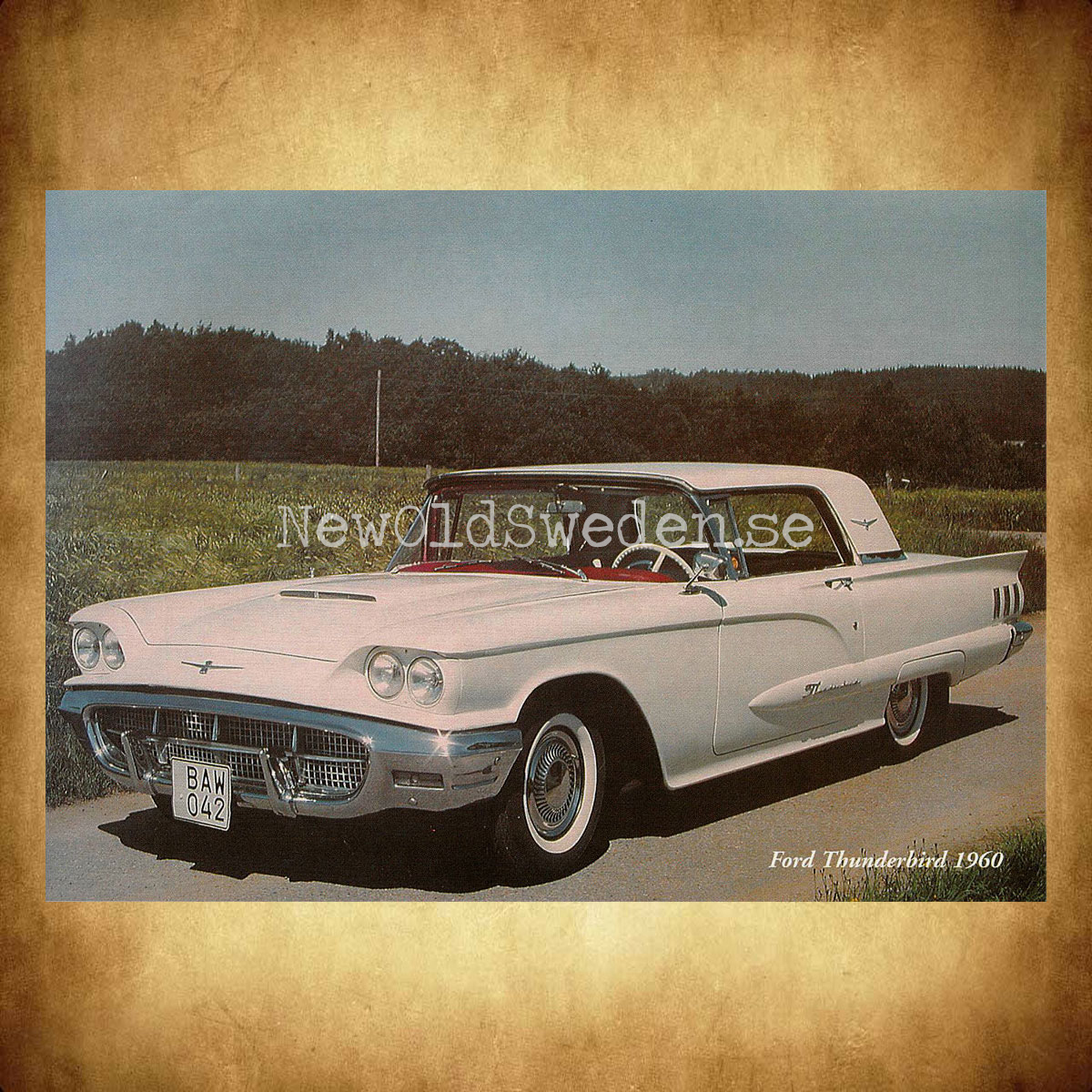 Ford Thunderbird 1960 - Vykort A5 - 2