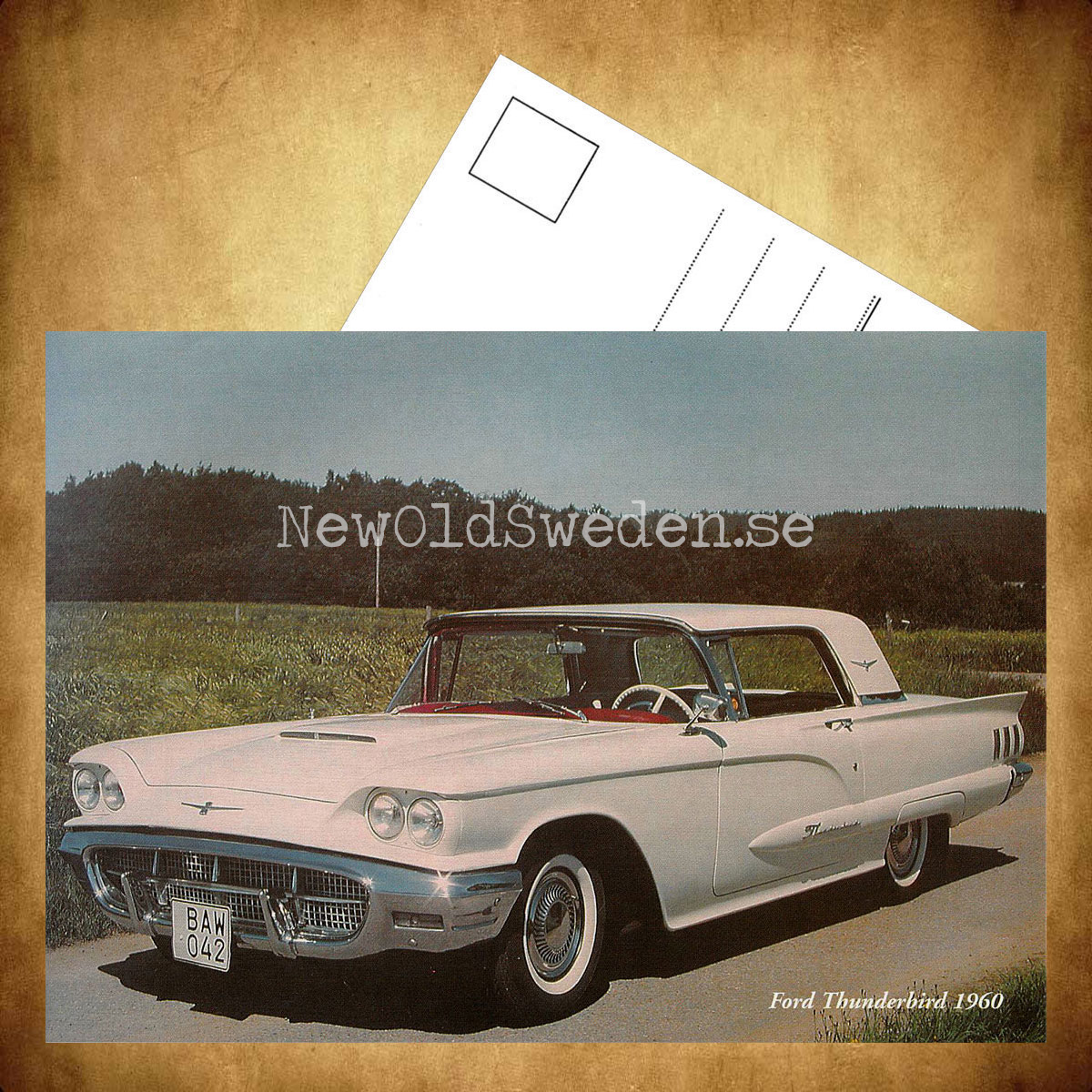 Ford Thunderbird 1960 - Vykort A5 - 3