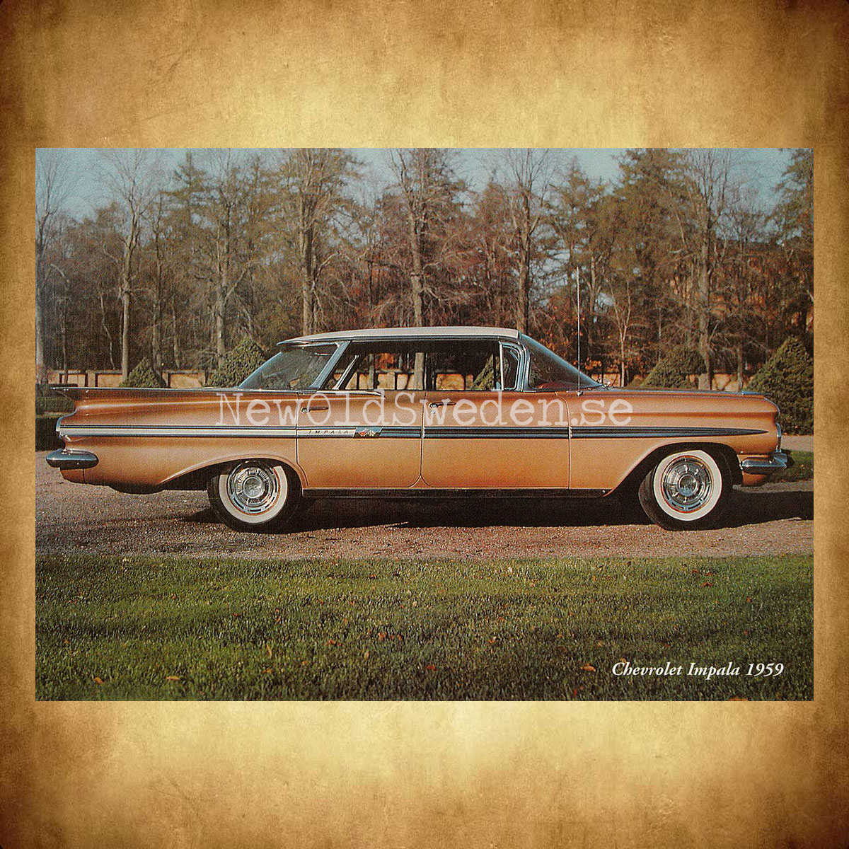 Chevrolet Impala 1959 - Vykort A5 - 2