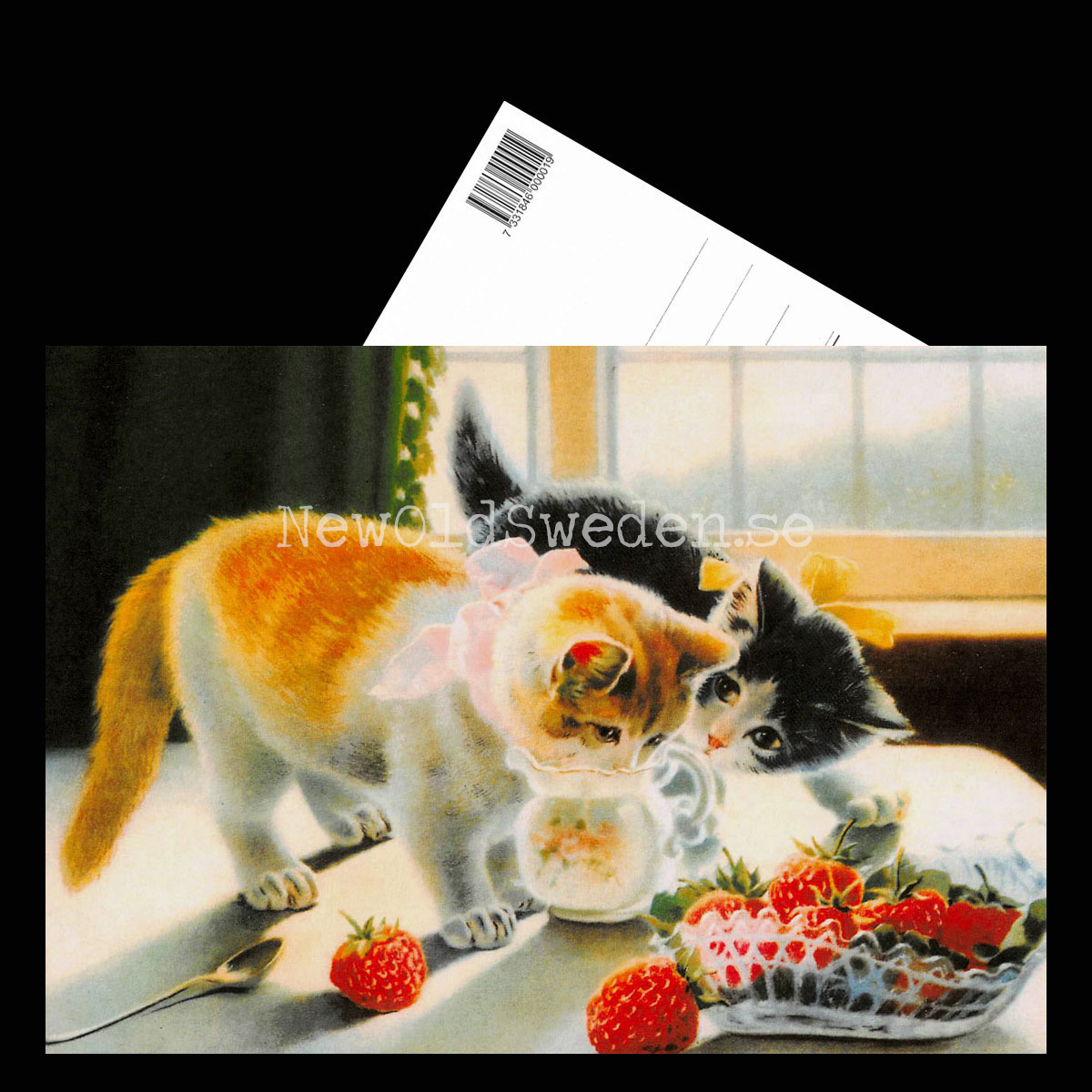 Kattungar - Vykort A5 - 3