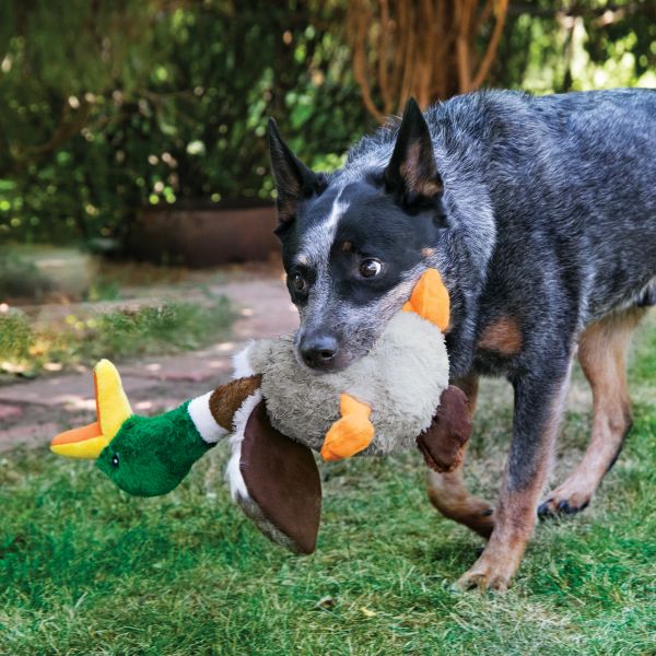 KONG "Honkers Duck" 45cm - 3