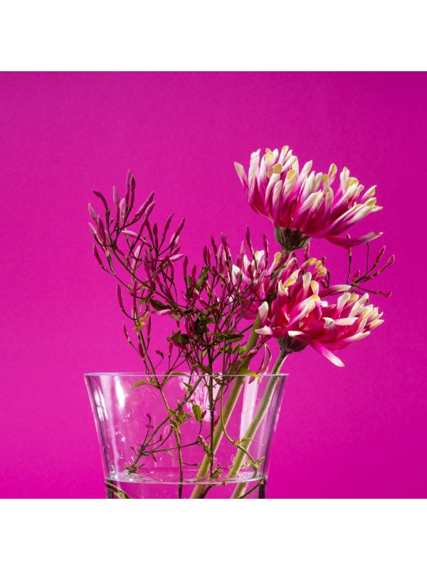 Vitajuwel Flora - Small - 4