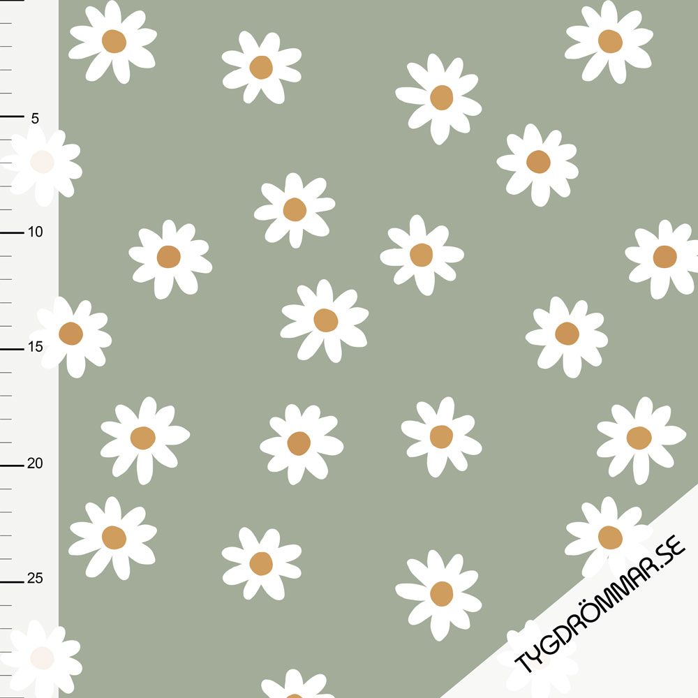 DAISY RIBBAD - SAGE - 4