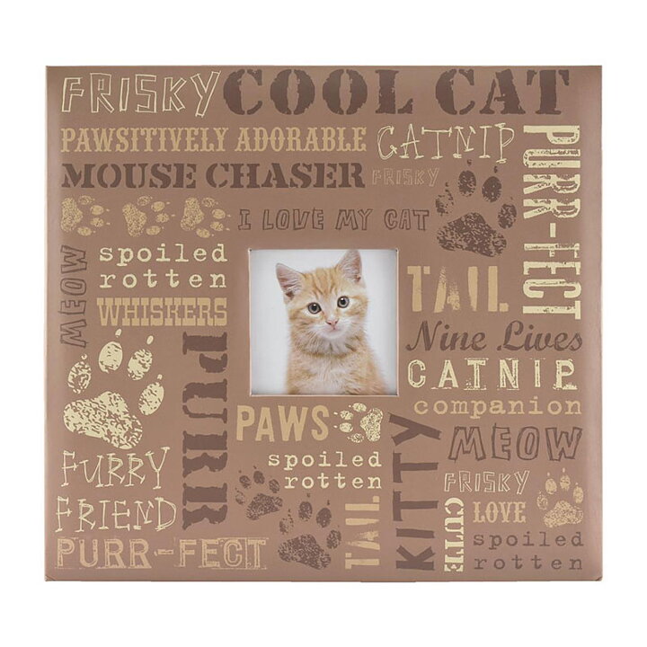 MBI 12x12 Expressions Post Bound Album - Cat