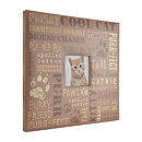 MBI 12x12 Expressions Post Bound Album - Cat