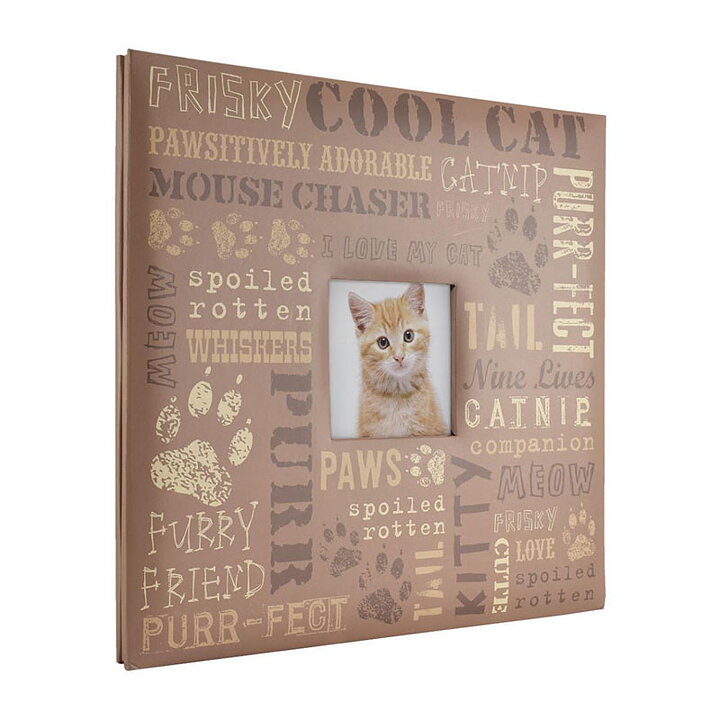 MBI 12x12 Expressions Post Bound Album - Cat