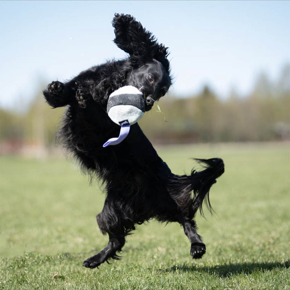 Chewie hundleksak av läder till hund