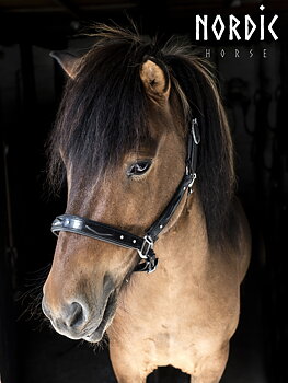 Nordic Horse lädergrimma med präglat mönster och stenar