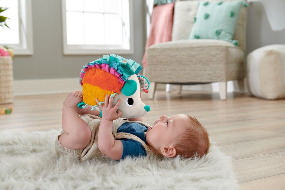 Fisher Price Cuddle & Snuggle Hedgehog - 2