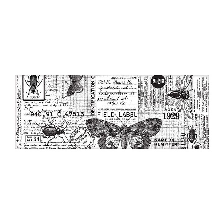 Tim Holtz Idea-Ology Collage Paper - Entomology