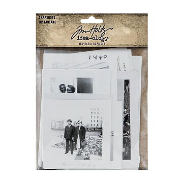 Tim Holtz Idea-Ology - Snapshots