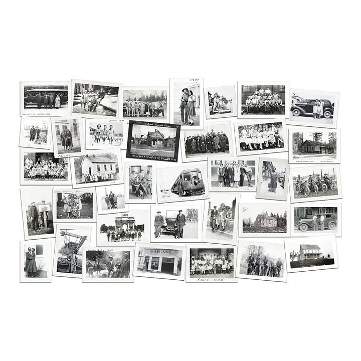 Tim Holtz Idea-Ology - Snapshots