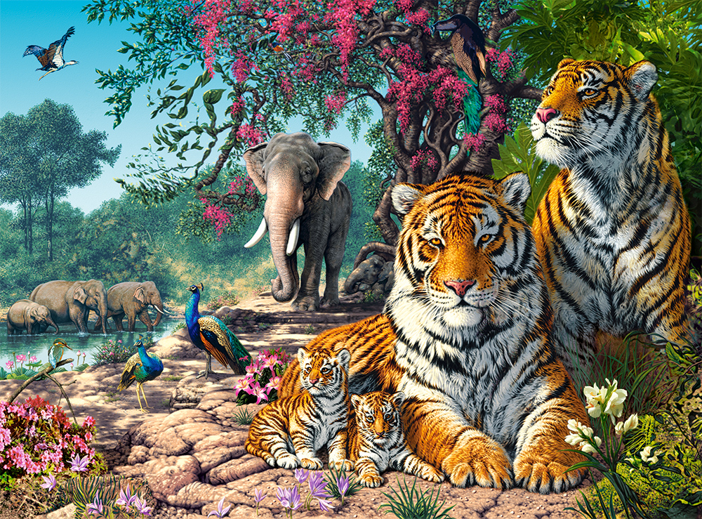 Tiger Sanctuary, puslespil med 3000 brikker (C-300600)