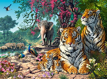 Tiger Sanctuary, puslespil med 3000 brikker (C-300600)