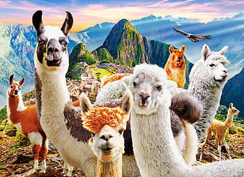 Llamas Selfie, 200-bitarspussel (B-222193)